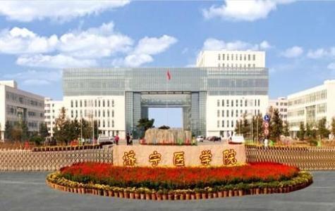 山东康复治疗学专升本