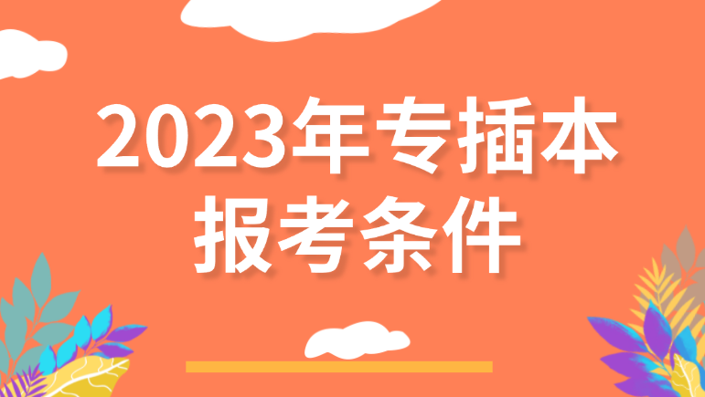 2023年专插本报考条件